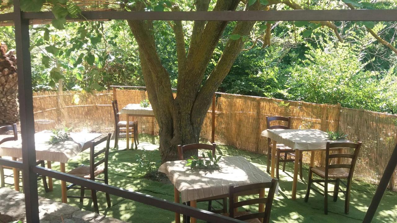 波利齐杰内罗萨Agriturismo La Sorgente Delle Madonie别墅 外观 照片